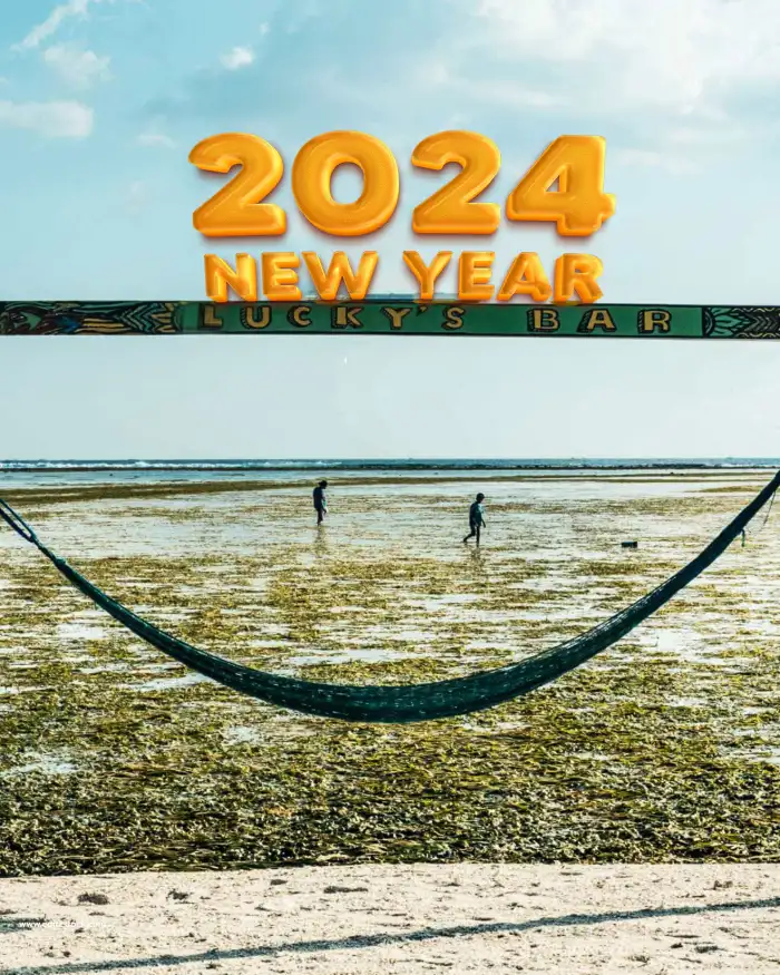 Snapseed Happy New Year 2024  Editing Beach  Background