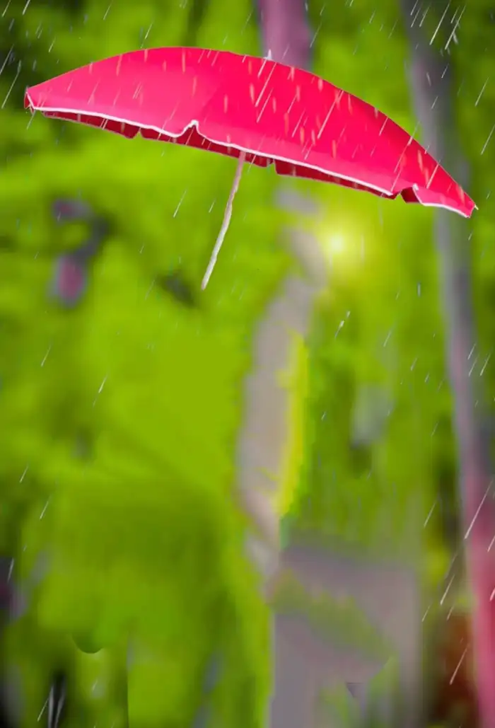 Snapseed Umbrella Photo Editing Background HD