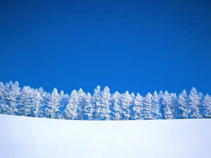 Snow HD Background Download