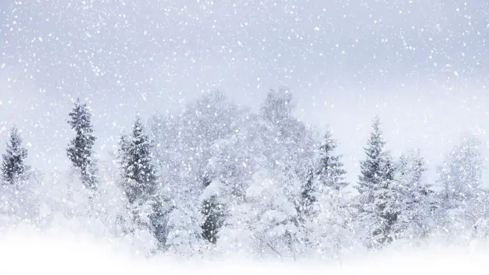 Snow HD Background Download