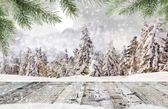 Snow Tree Forest Background HD Images Free