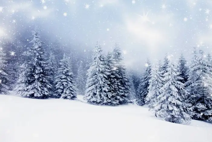 Snow Tree Forest Background HD Images Free