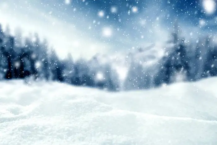 Snow Winter Christmas Tree Background HD Images Free