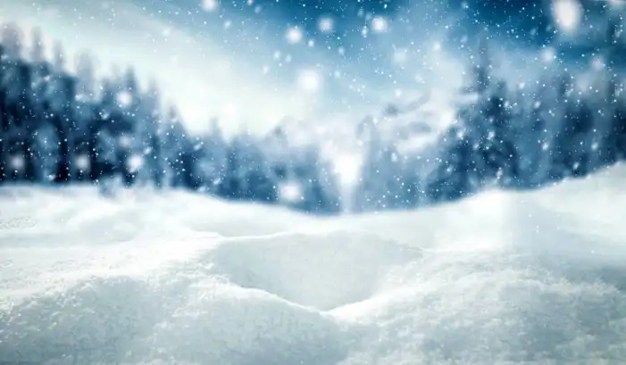 Snow Winter Christmas Tree Background HD Images Free