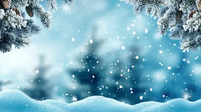 Snow Winter Christmas Tree Background HD Images Free