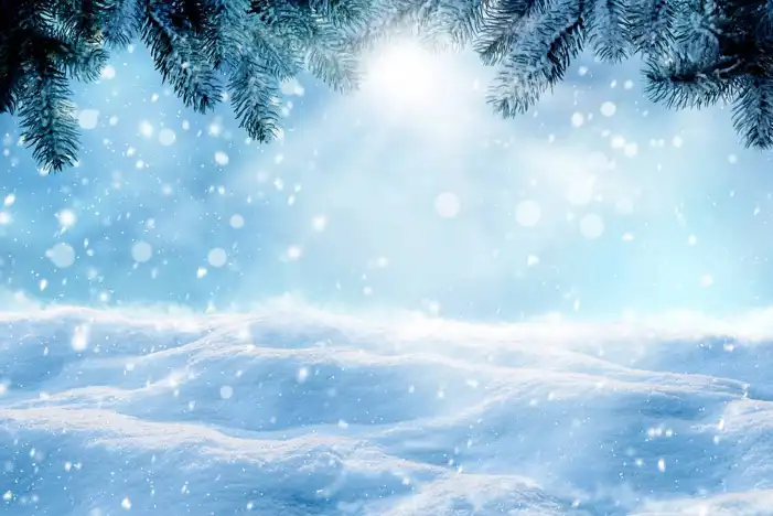 Snow Winter Snow Flake Background HD Images Free