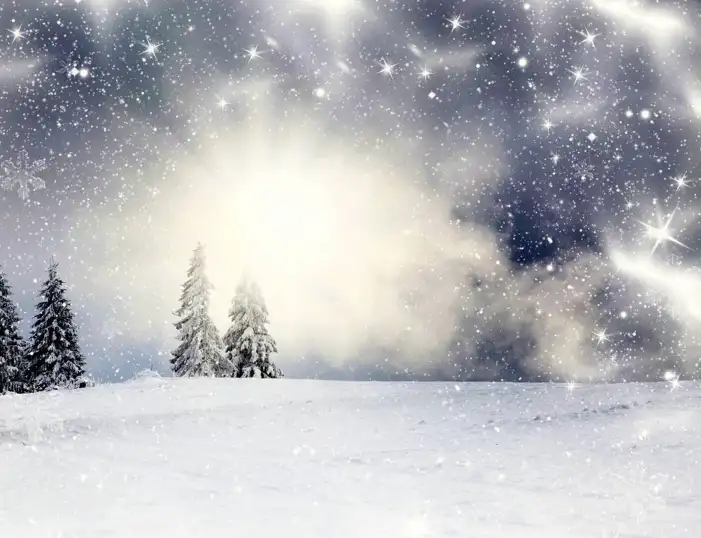 Snow Winter Snowflake Background HD Images Free