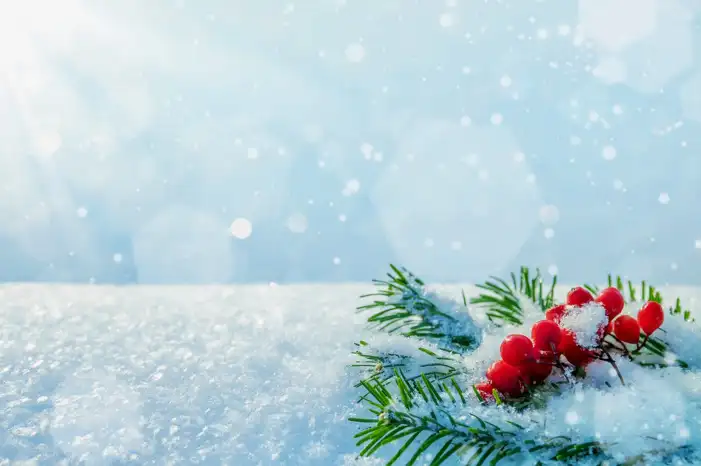 Snow Winter Snowflake Background HD Images Free