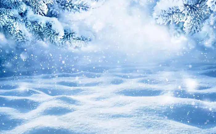 Snow Winter Snowflake Background HD Images Free