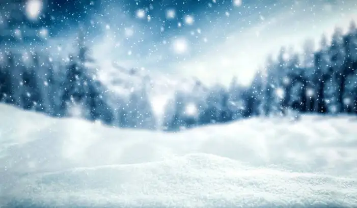 Snow Winter Snowflake Background HD Images Free