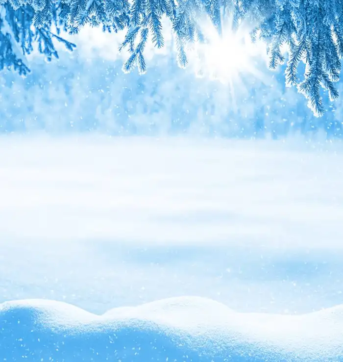 Snow Winter Tree Background HD Images Free