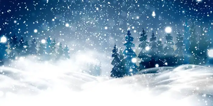 Snow Winter Tree Ice Background HD Images Free