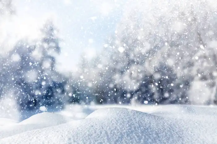 Snow Winter Tree Ice Background HD Images Free