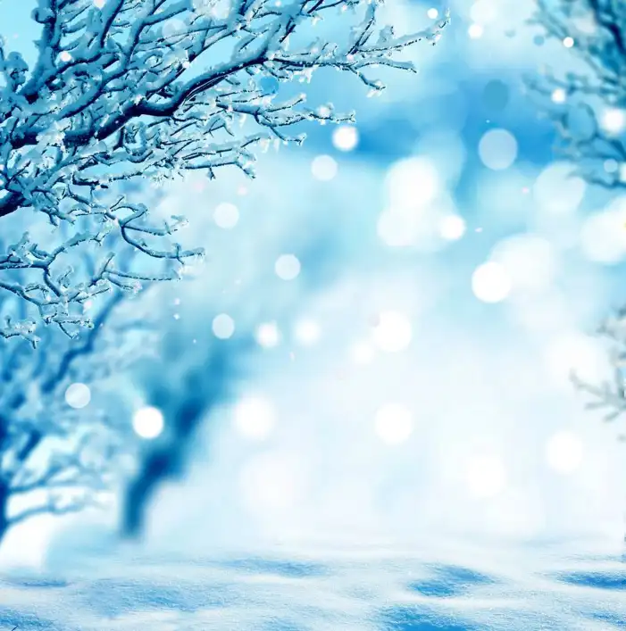 Snow Winter Tree Ice Background HD Images Free