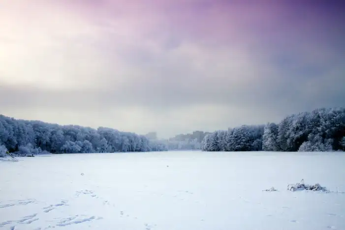 Snow Winter Tree Sky Background HD Images Free