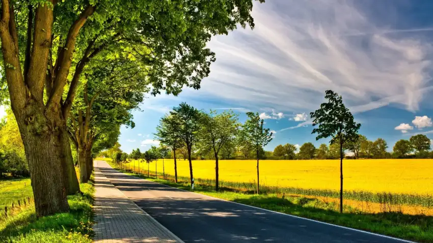 Spring Field Background HD Download