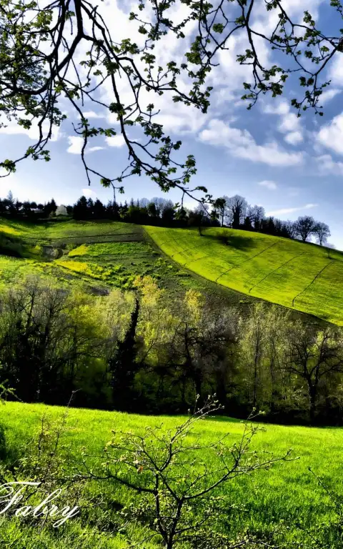 Spring Field Editing Background HD Download