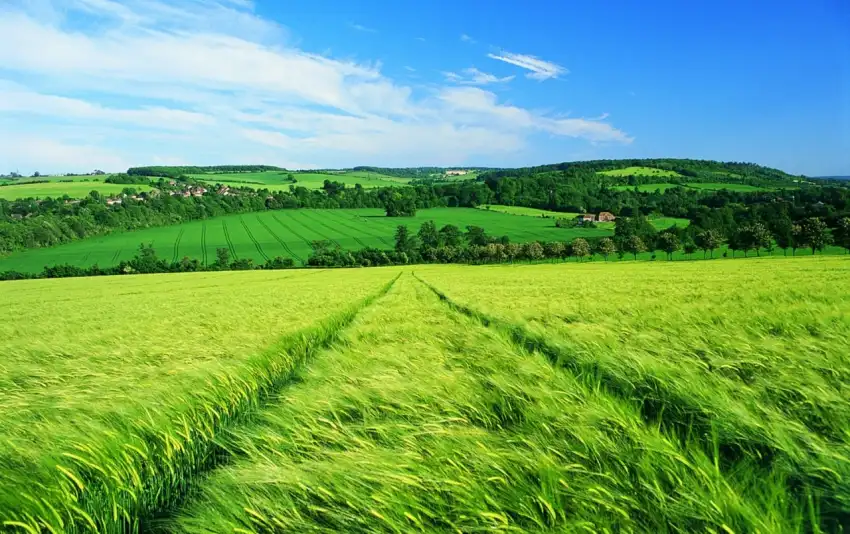 Spring Field With Sky Wallpape rBackground HD Download