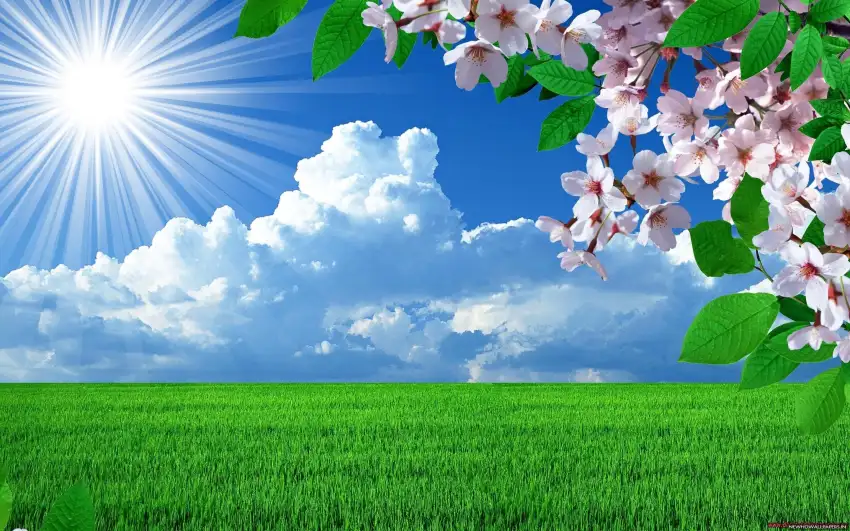 Spring Field With Sky Wallpape rBackground HD Download