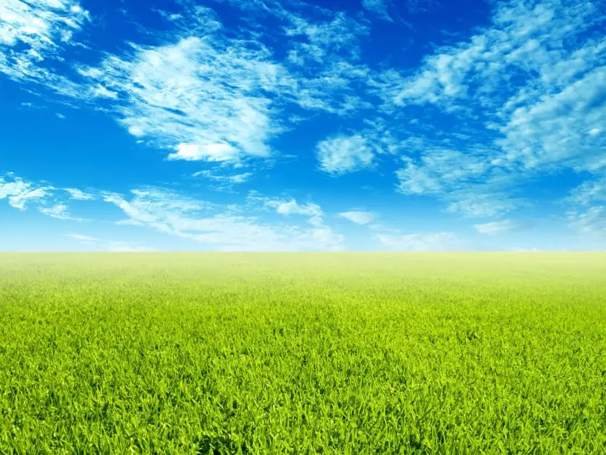 Spring Field With Sky Wallpaper Background HD Download