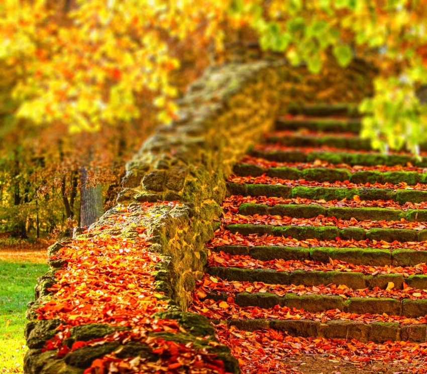 Stairs Garden CB Picsart Editing Background HD Download