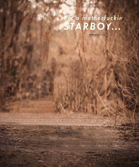 StarBoy Forest Blur CB Background