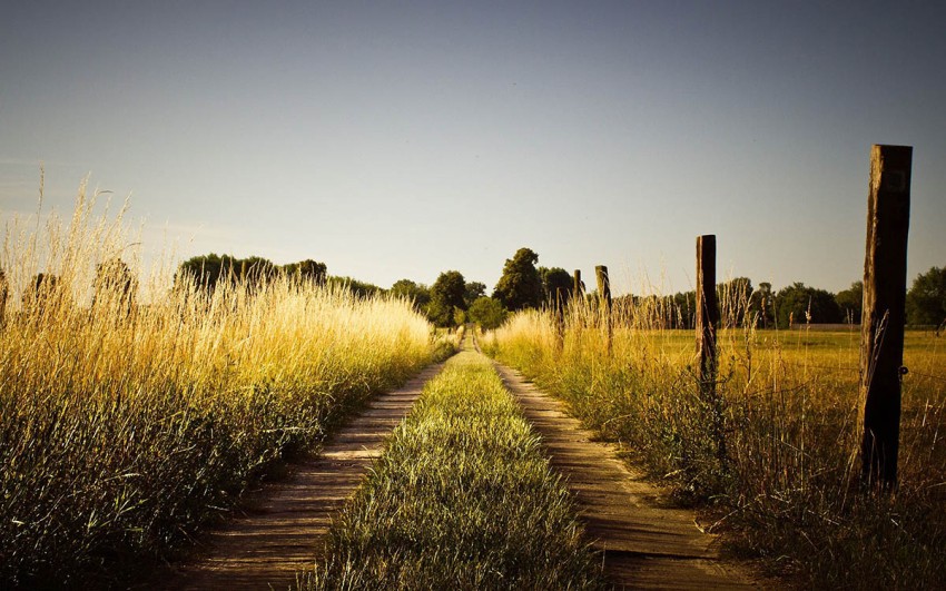 Summer Road Background HD Photo Image Free Download