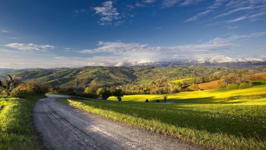 Summer Road Blue Sky Background HD Photo Image Free