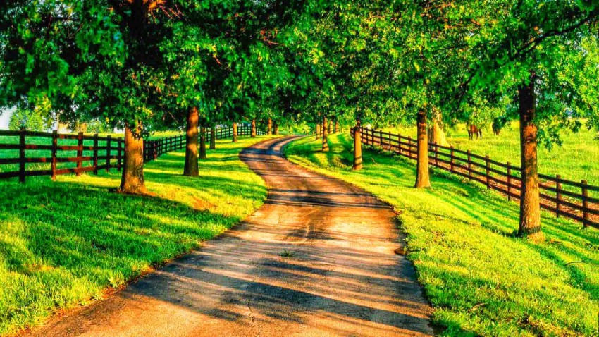 Summer Road Editing Background HD Photo Image Free