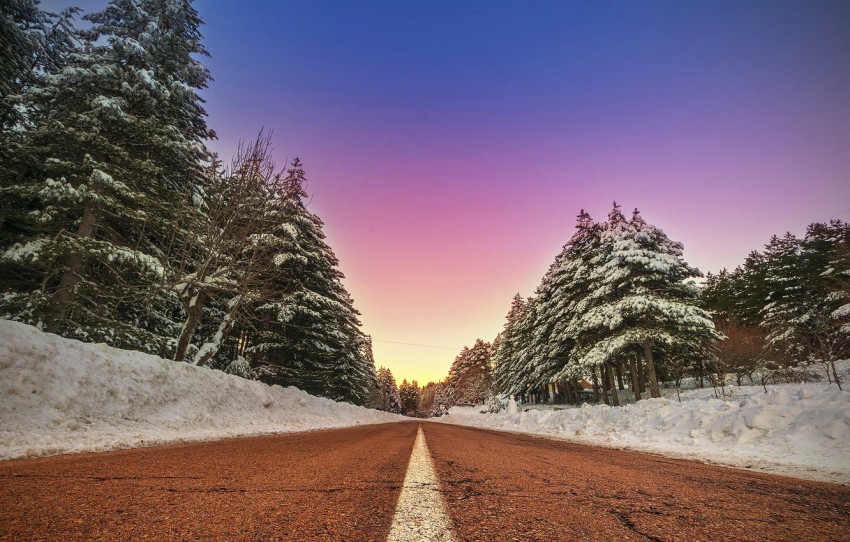 Summer Winter Road Background Full HD Download Free