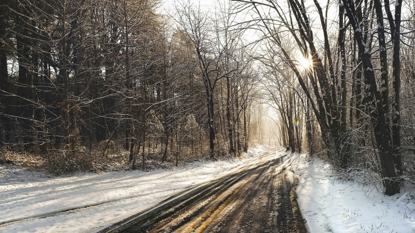 Summer Winter Road Background Full HD Download Free