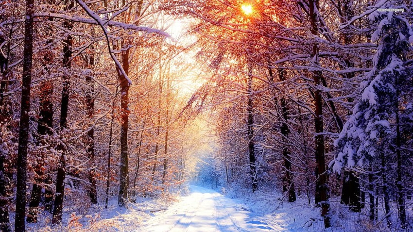 Summer Winter Road Background Full HD Download Free