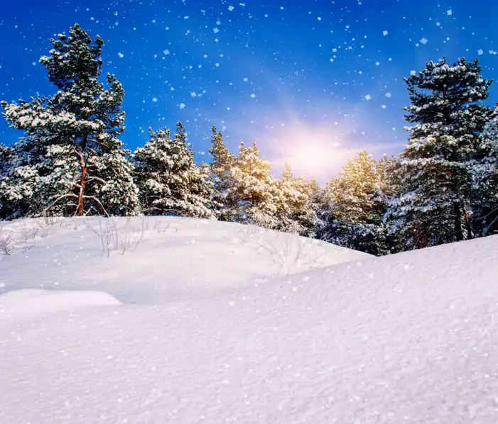 Sun Light Snow Background HD Images Free