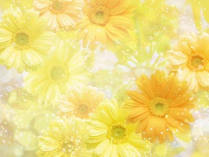 Sunflower Wedding Marriage Background Free Download