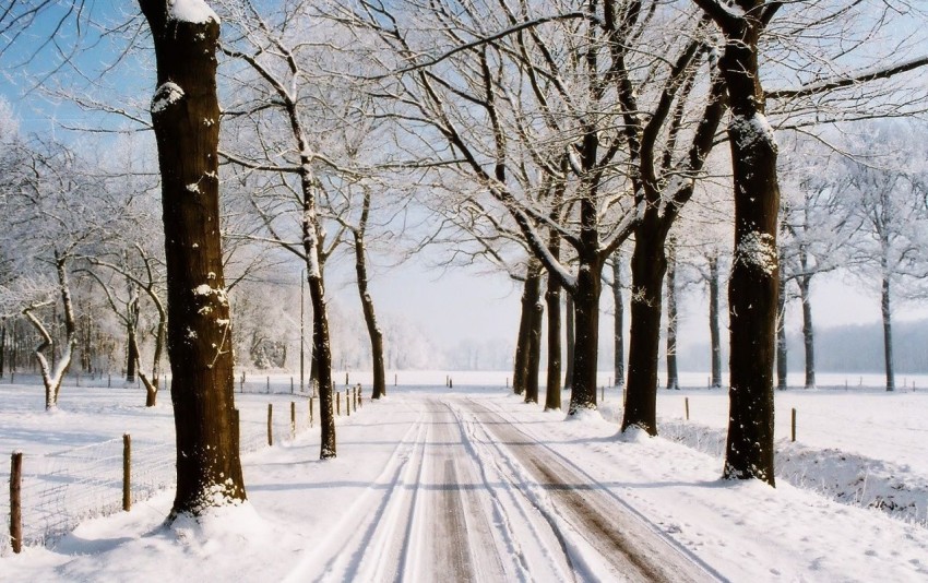 Sunny Winter Road Background Full HD Download Free