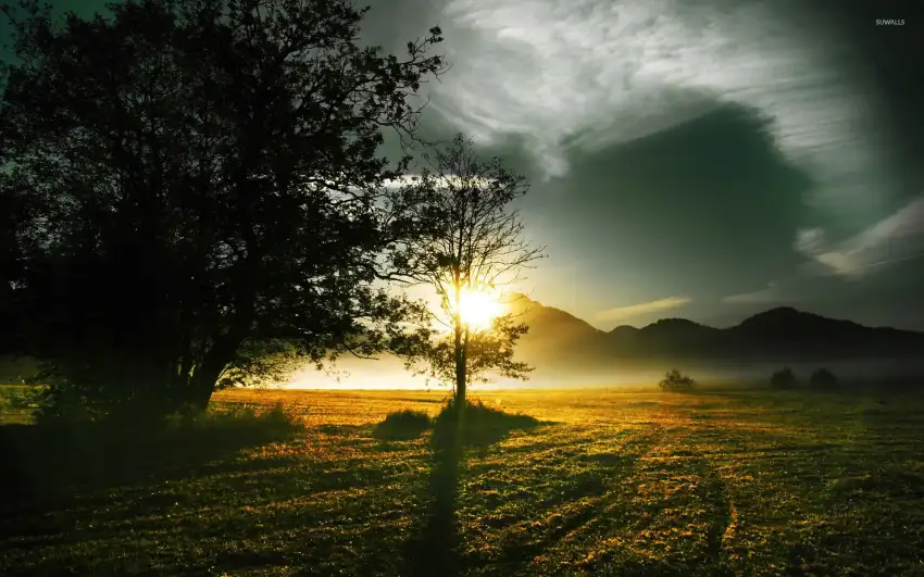 Sunrise Field Background Full HD Wallpaper Download