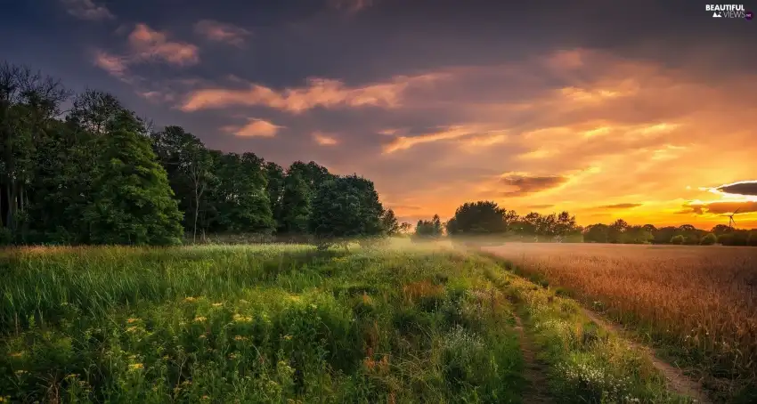 Sunrise Field Background Full HD Wallpaper Download