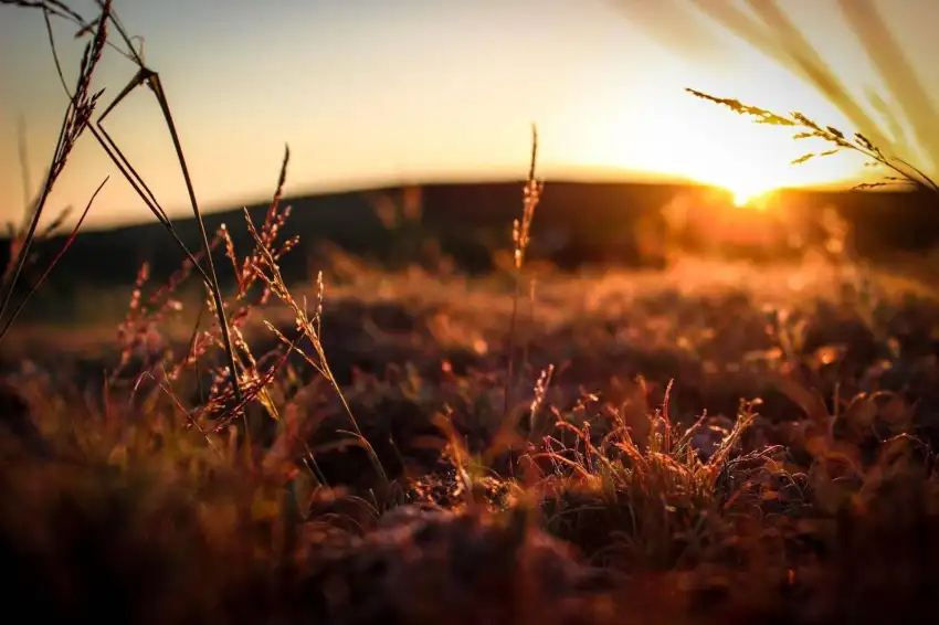 Sunrise Field Background HD Wallpaper Download