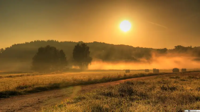 Sunrise Field Background HD Wallpaper Download