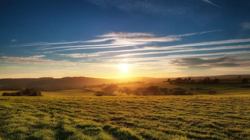 Sunrise Field Background HD Wallpaper Download