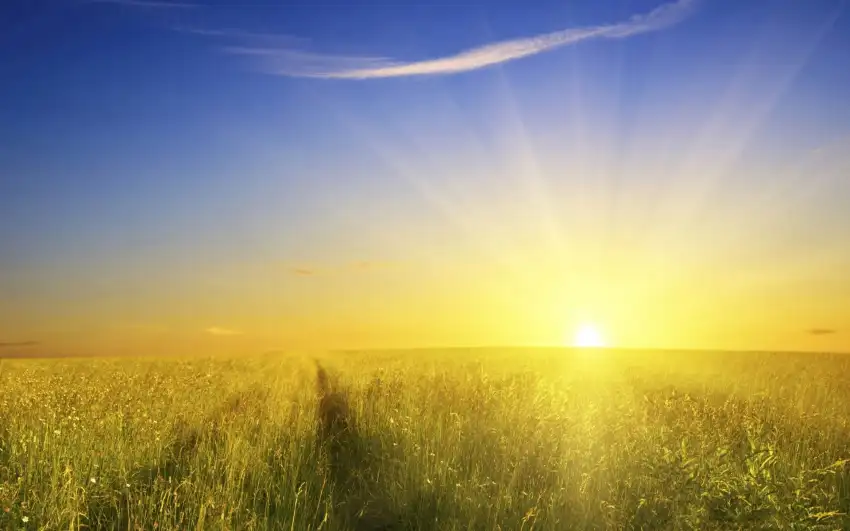 Sunrise Field Editing Wallpaper  Background HD Download