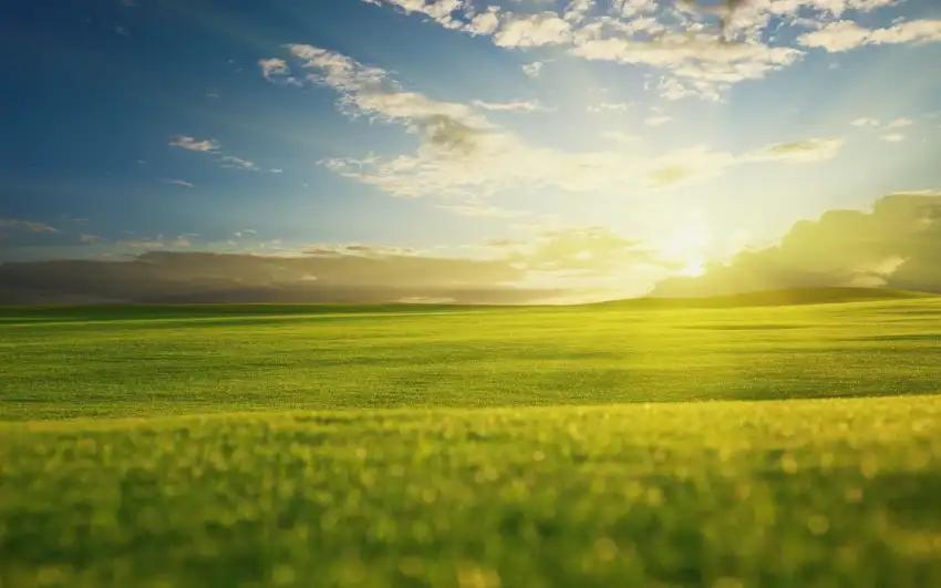 Sunrise Field With Sky Background HD Download