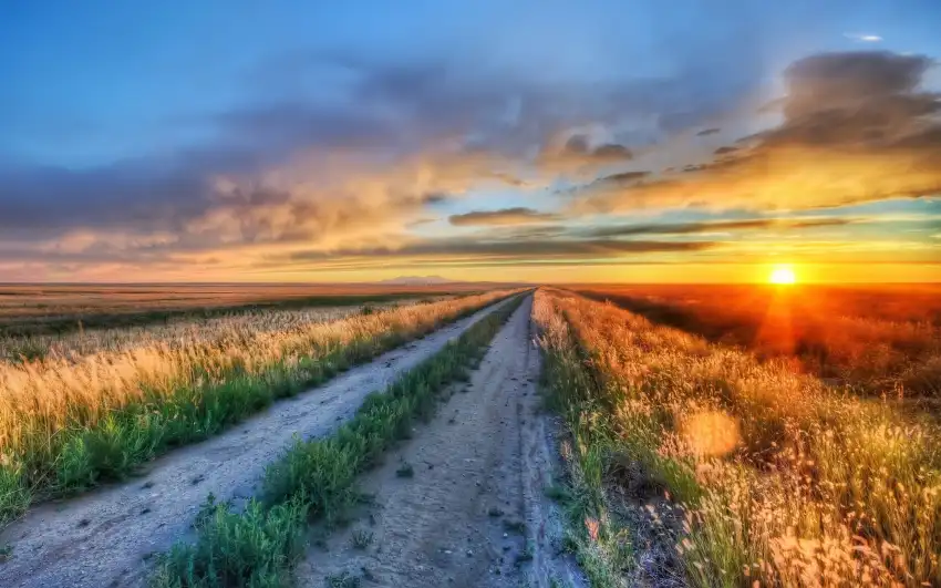 Sunrise Field With Sky Background HD Download