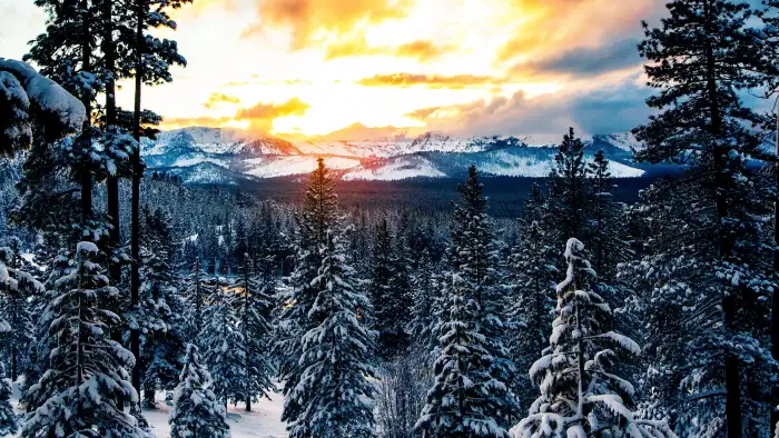 Sunrise Mountain Winter Forest Background HD Wallpapers