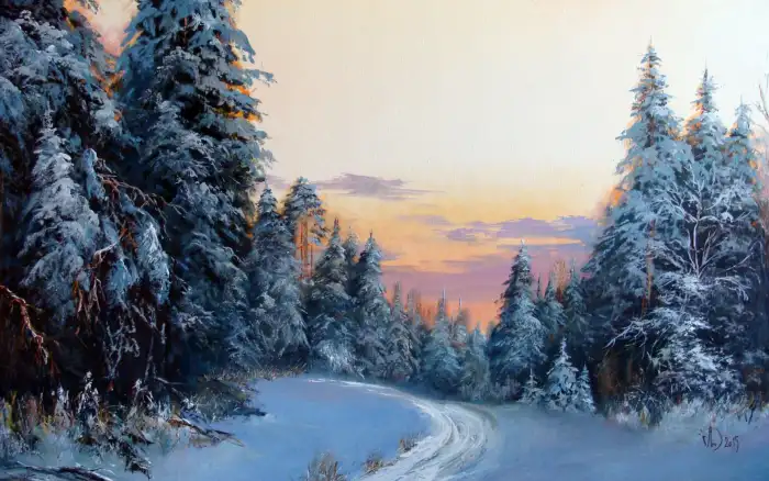 Sunrise Road Path Winter Forest Background HD Images