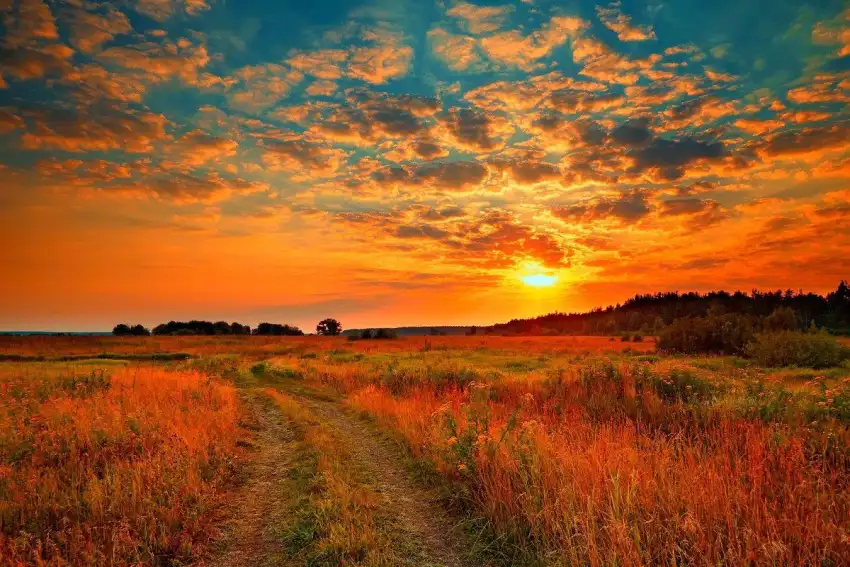 Sunrise Sky  Field Background HD Download