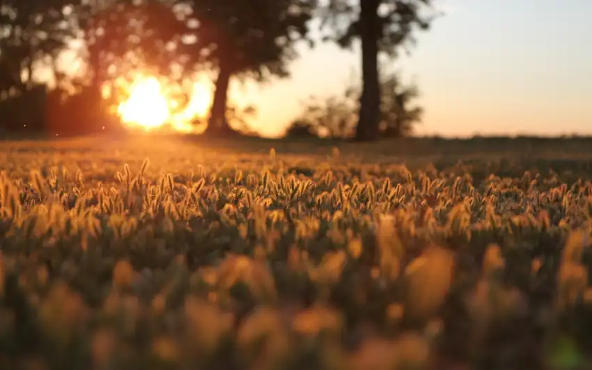 Sunrise Sunset Sky Field Background HD Download