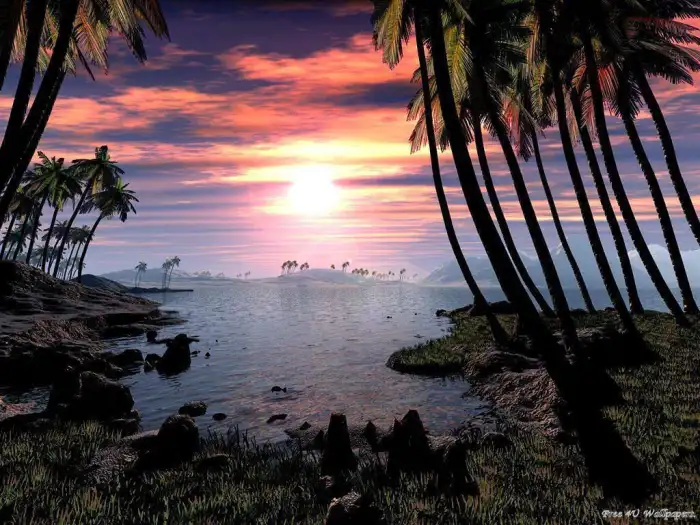 Sunset Beach Photo Editing Background Free