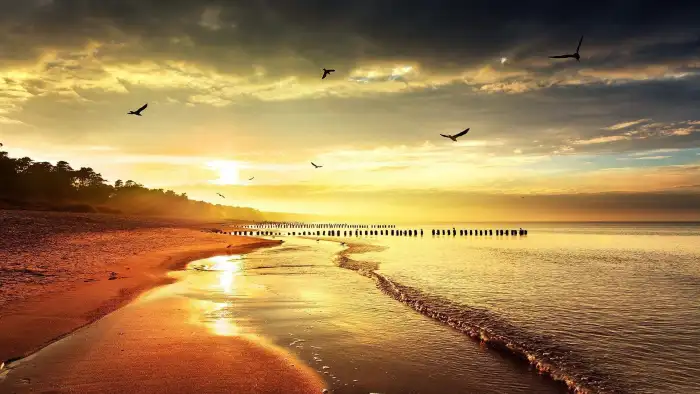 Sunset Beach Sunrise Sky Ocean  Background Free