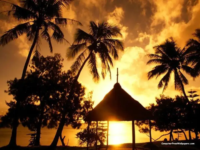 Sunset Beach Tropical Palm Tree Background For Zoom